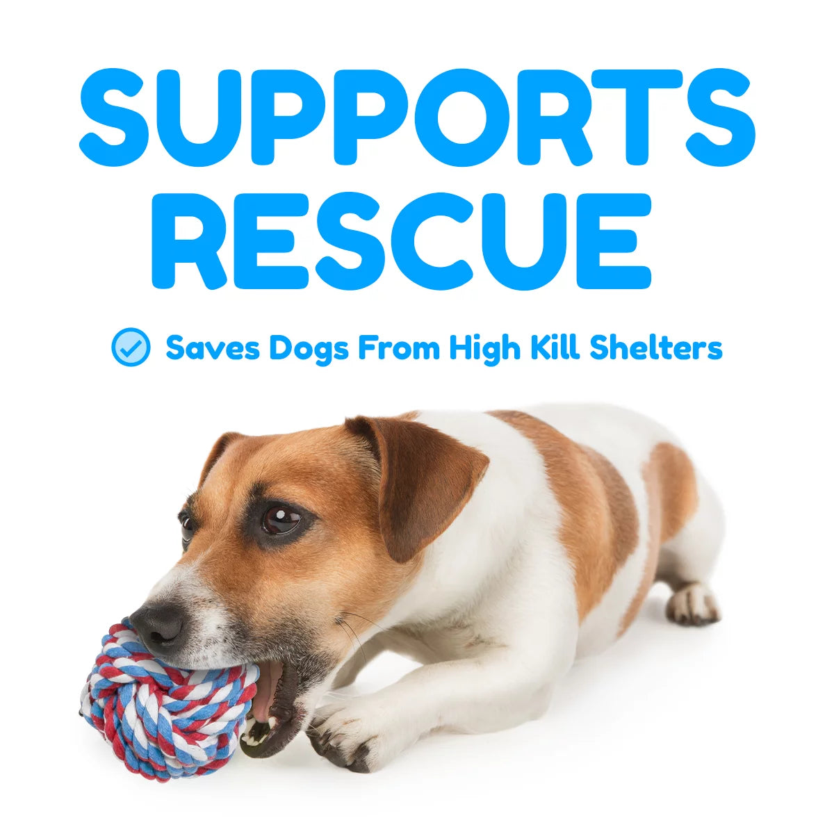 Pacific Pups Premium Rope Dog Toy Set - 5-Pack for Small to Medium Dogs