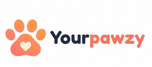 bys-user-store-523376